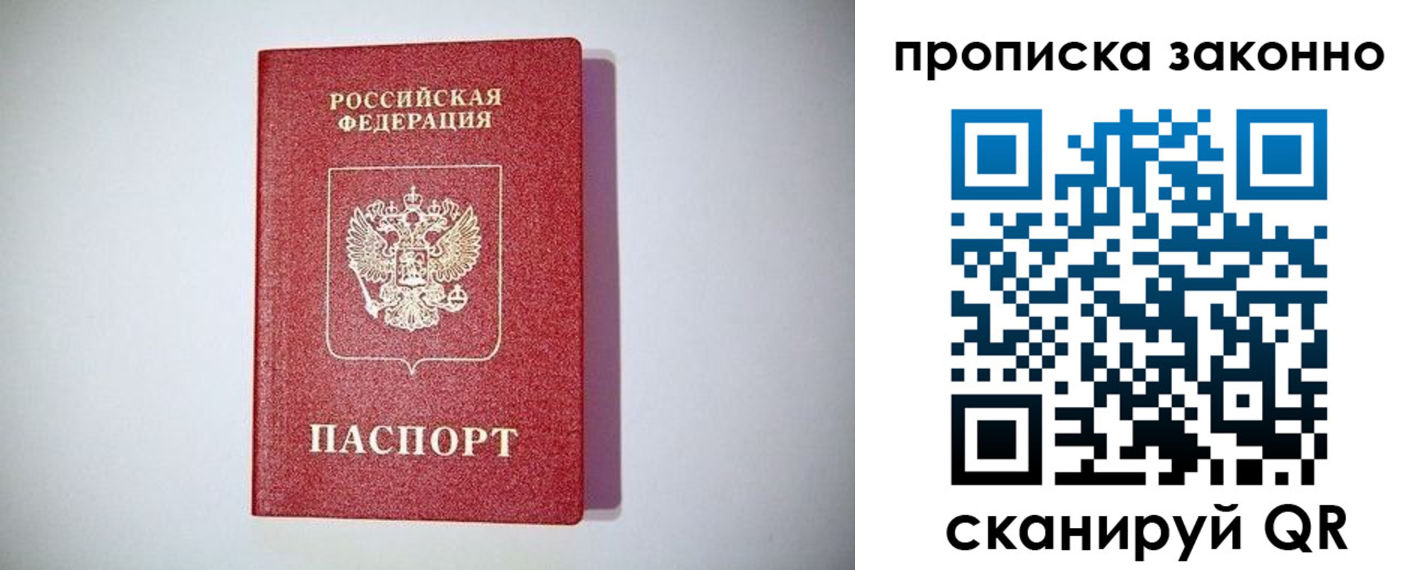 прописка для школы в Фокино